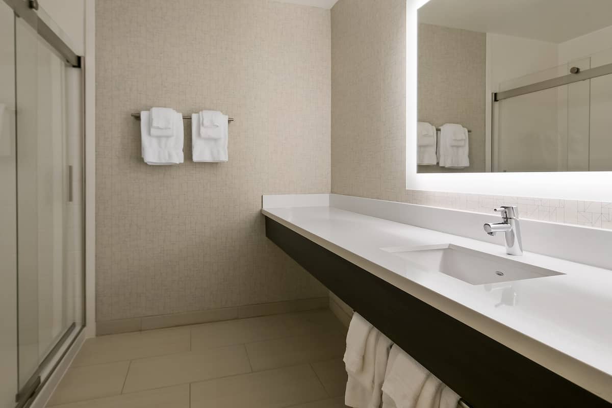 combined shower/bathtub, free toiletries, hair dryer, towels