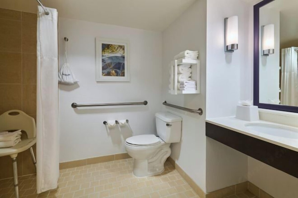 A bathroom with a toilet, handrails, a towel rack, and a mirror.