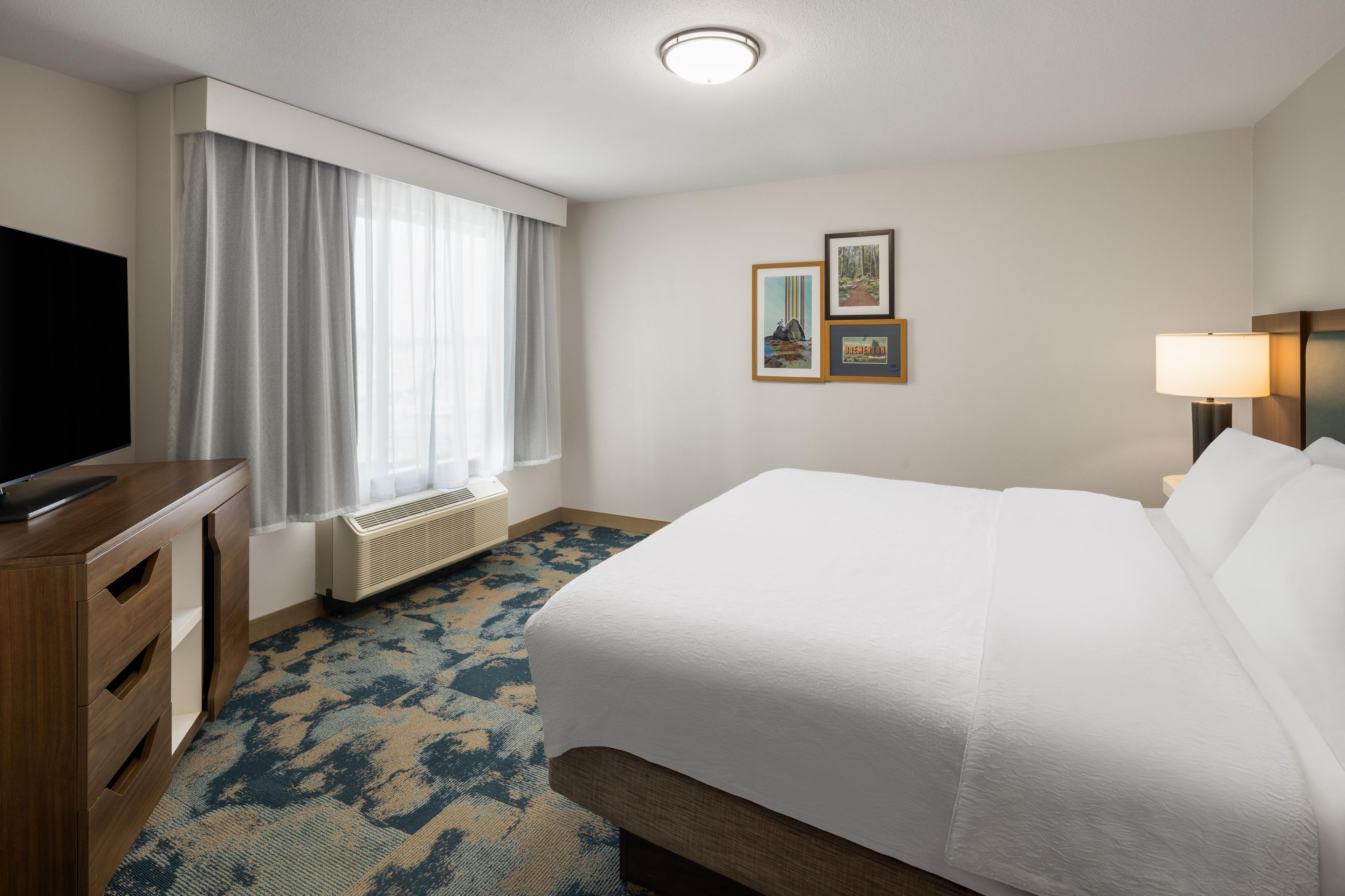 A hotel room with a bed, a television, a window with curtains, a radiator, a carpet, and two framed pictures on the wall.
