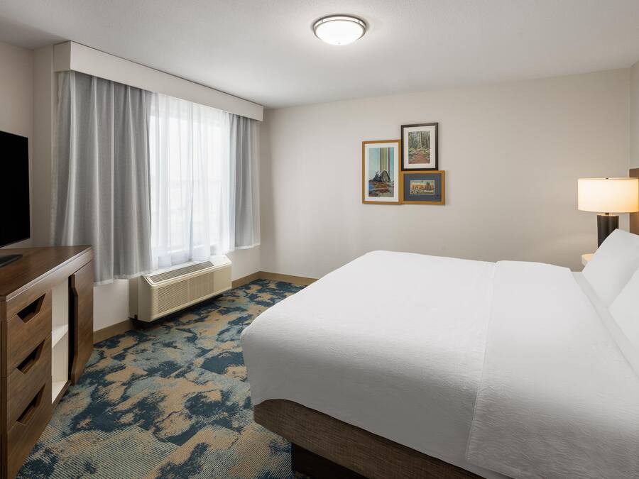 A hotel room with a bed, a television, a window with curtains, a radiator, a carpet, and two framed pictures on the wall.