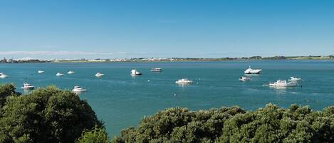 A coastal view with multiple boats on calm waters, dense green foliage in the foreground, and a clear blue sky.