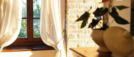 A room with a window, curtains, a brick wall, and a plant with a red flower.