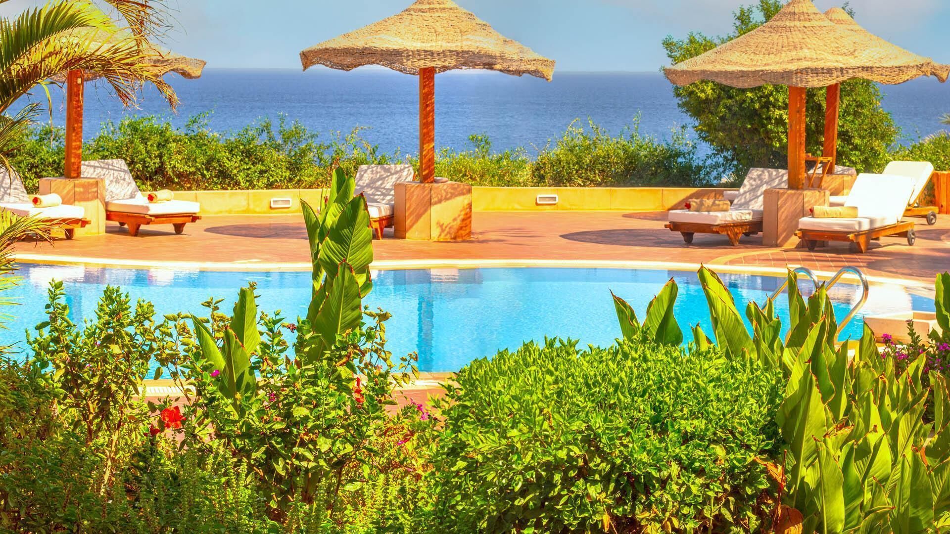 Outdoor pool, pool umbrellas, pool loungers