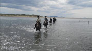 Un grupo de personas montando a caballo sobre una superficie de agua.