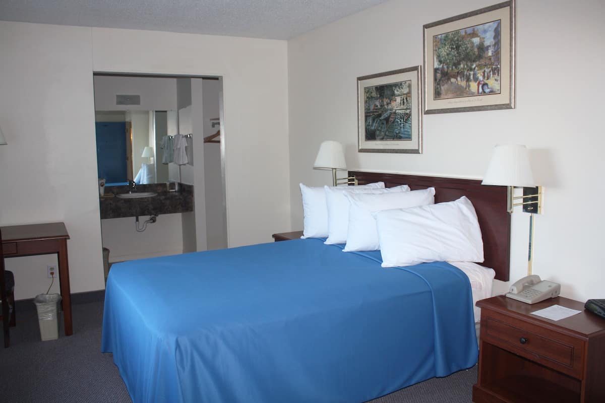 Premier Single Room, 1 Queen Bed | Desk, iron/ironing board (on request), cots/infant beds, rollaway beds