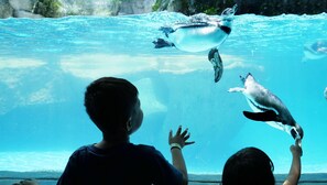 Outdoor pool - Northgate Inn Saginaw (Saginaw)