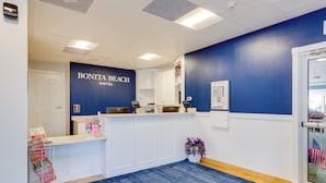 A reception area with a blue wall, a reception desk, a white counter, a blue carpet, and a potted plant.