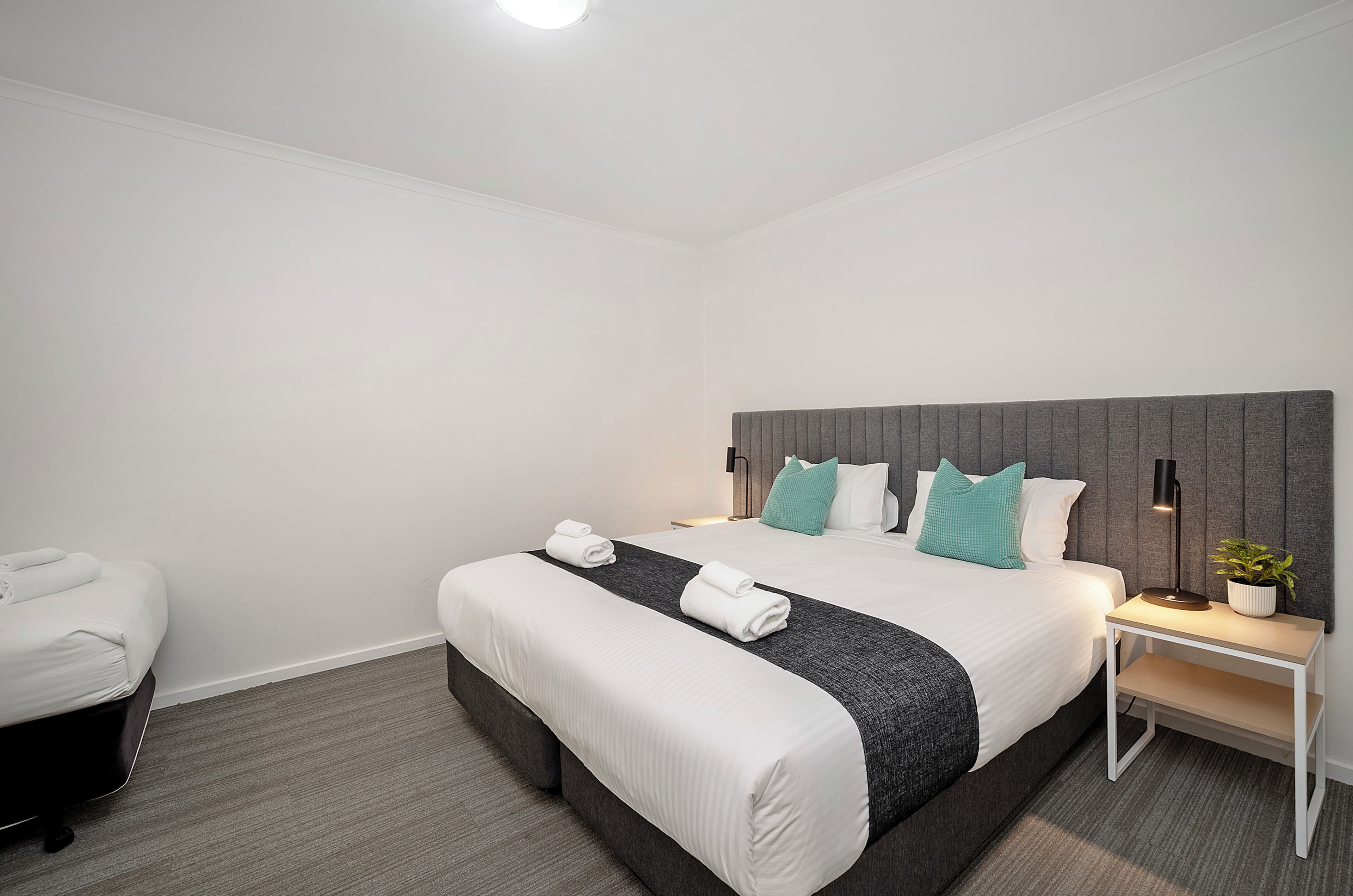 A hotel room with a bed, bedside table, lamp, and a potted plant.