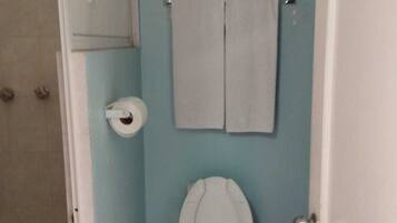 Un bagno piccolo con un water, un porta asciugamani con due asciugamani e un porta carta igienica.
