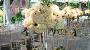 A formal event with white floral centerpieces on tables, arranged in a spacious hall with chairs.