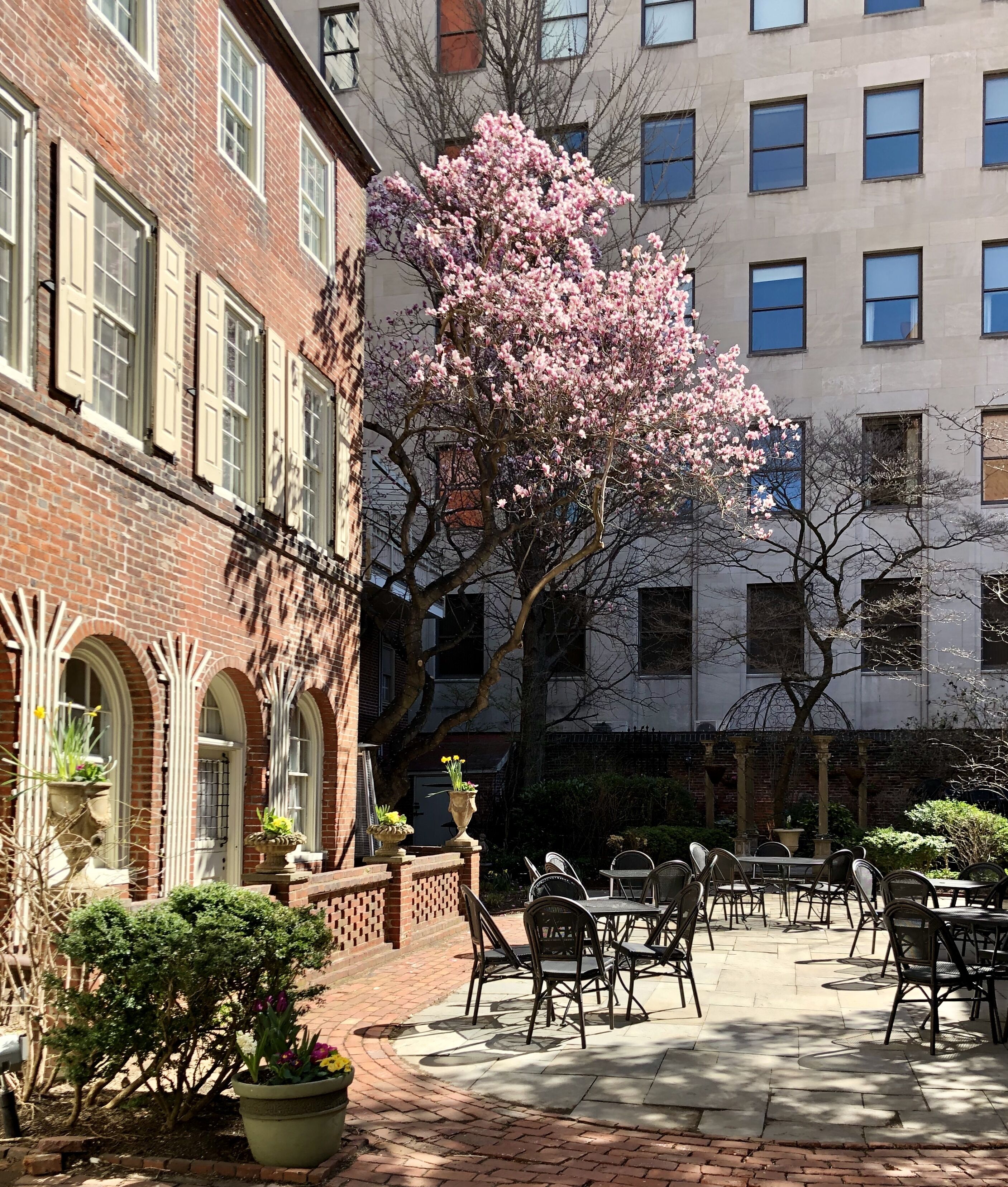 A courtyard with brick buildings, a flowering tree, and outdoor seating.