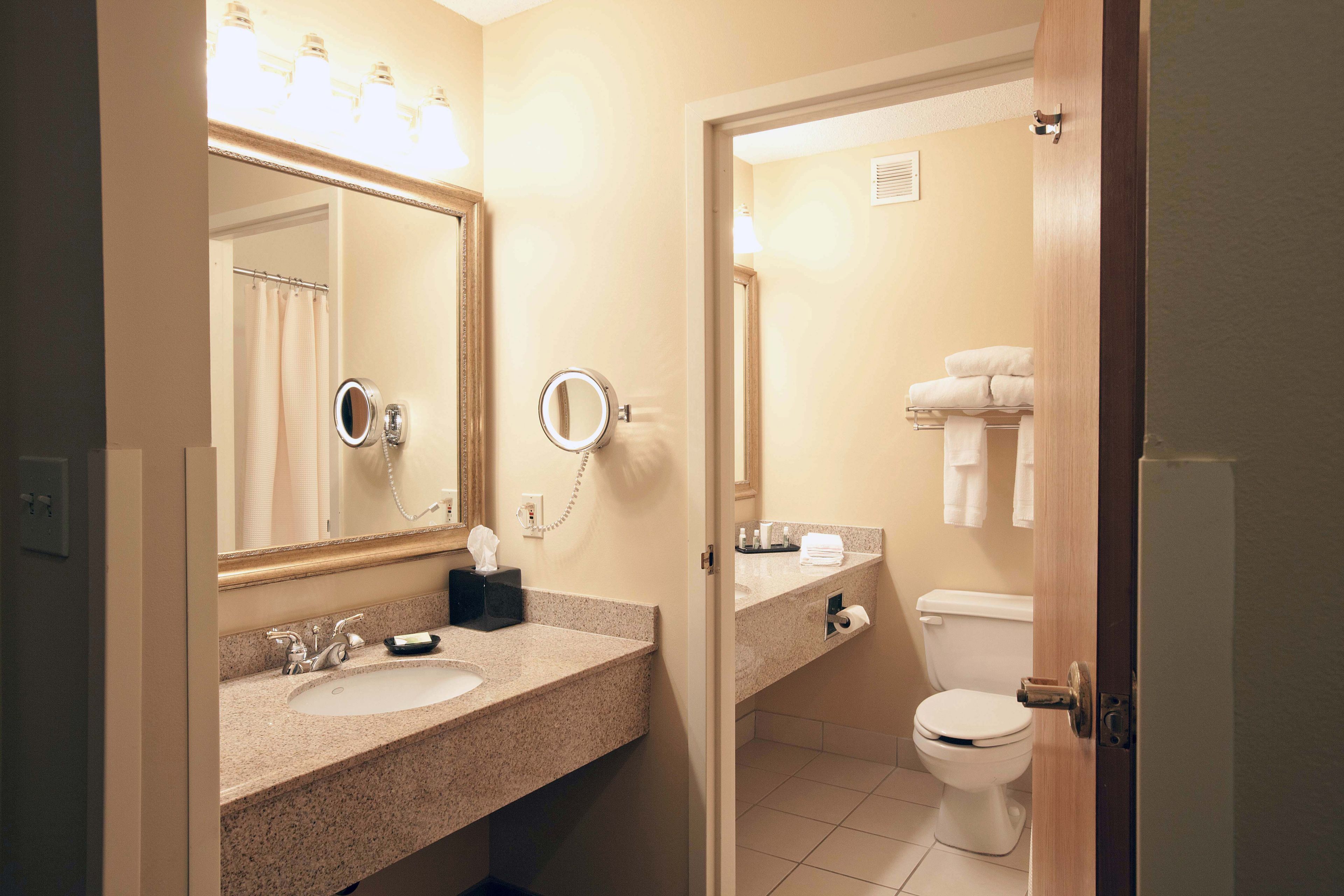 combined shower/bathtub, free toiletries, hair dryer, towels