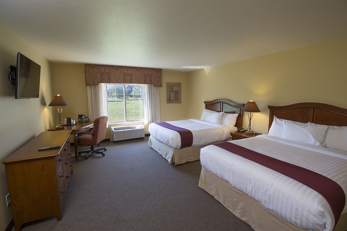 A hotel room with two beds, a desk, a chair, a TV, and a window with a view of a green landscape.
