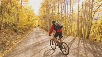 A cyclist on a dirt path surrounded by trees.