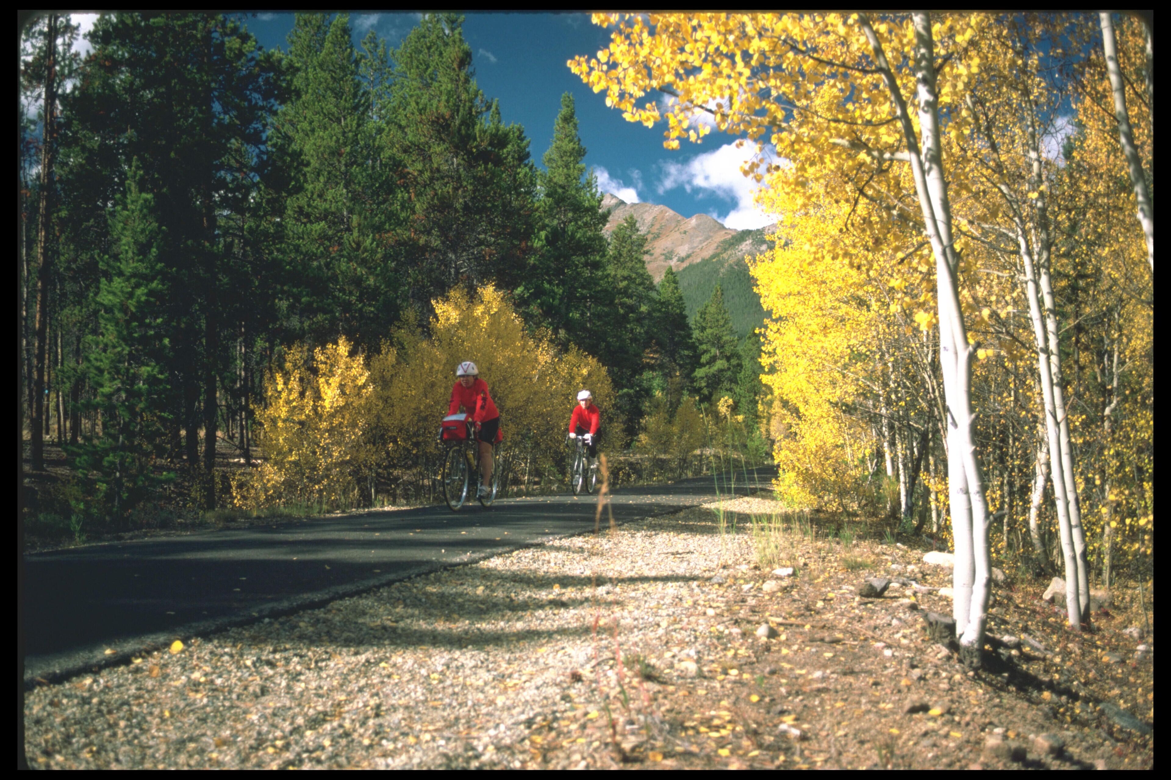 A road with cyclists, surrounded by trees with yellow leaves and mountains in the background.