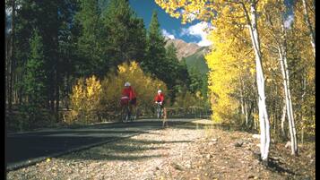 A road with cyclists, surrounded by trees with yellow leaves and mountains in the background.