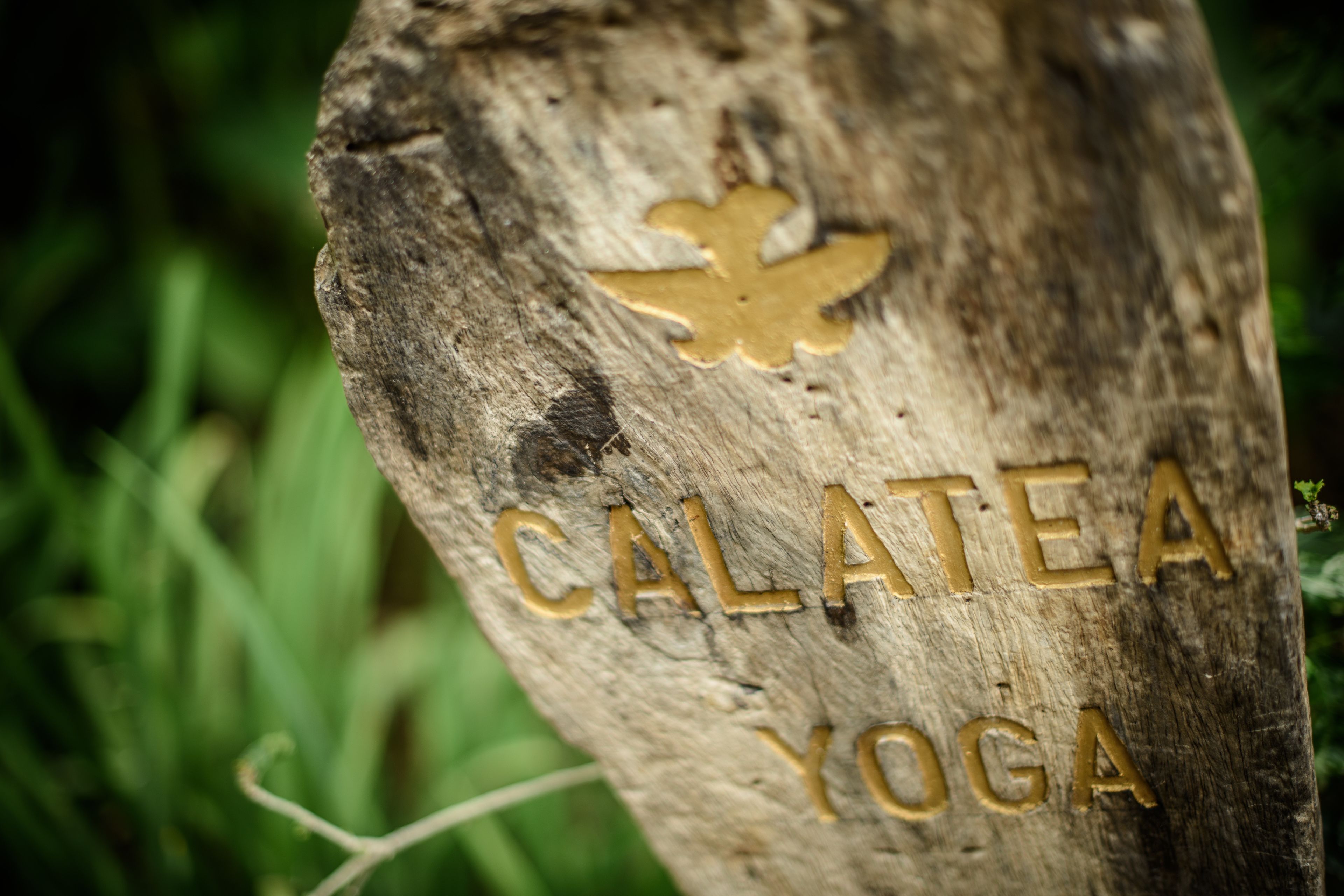 A wooden sign with the text "CALATEA YOGA" and a leaf design.