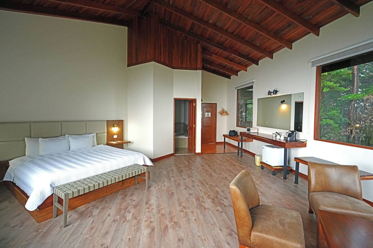 Une chambre spacieuse avec un grand lit, un bureau et un coin salon.