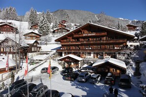 Exterior - Hotel Alpenhof (Grindelwald)