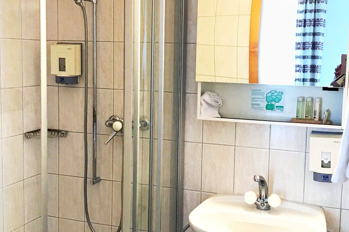 basic double room | bathroom shower