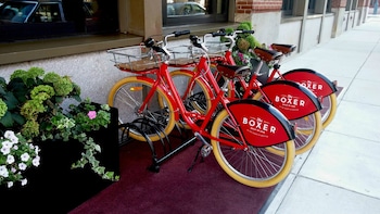 Bicycling at Eurostars The Boxer