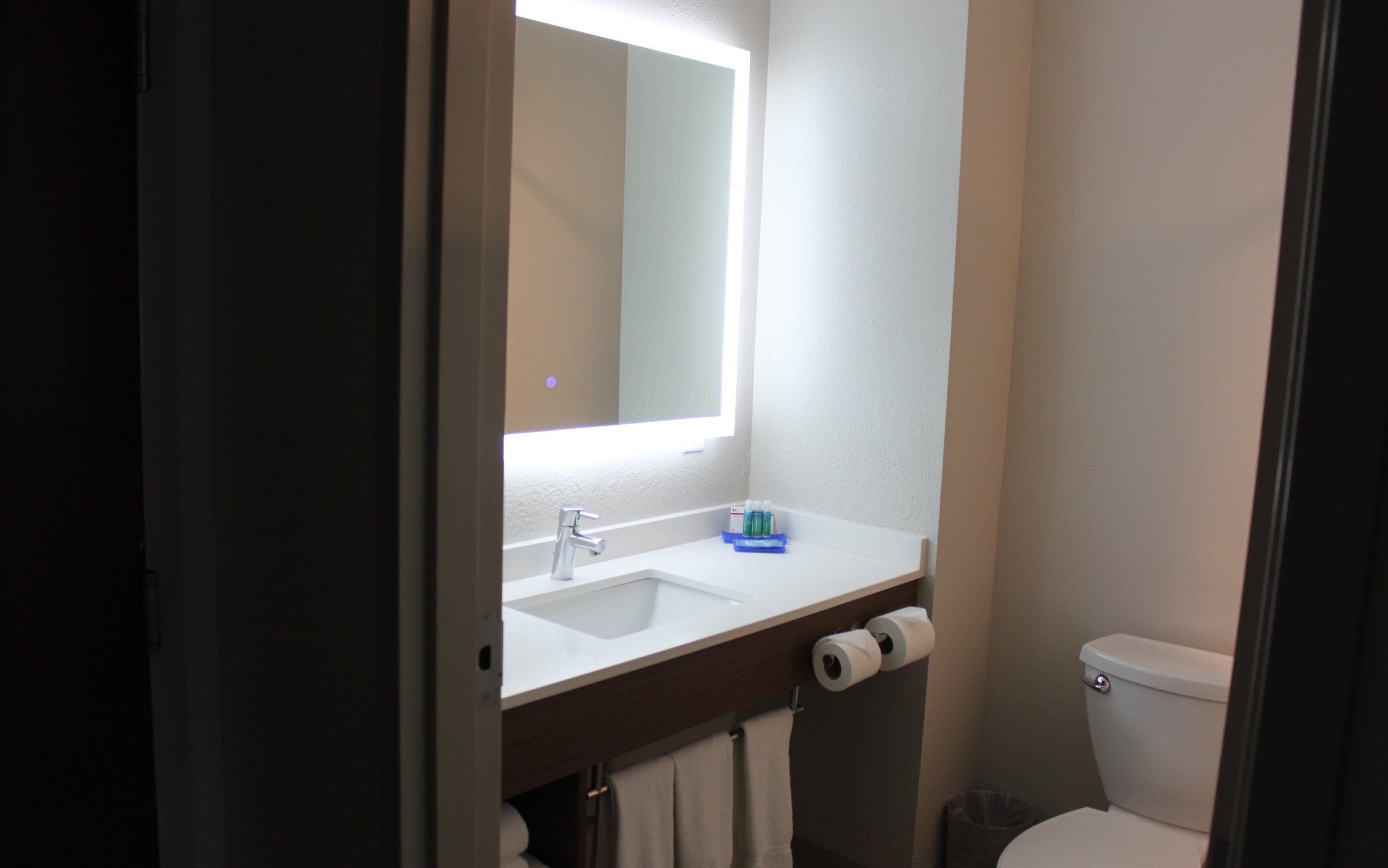 A bathroom with a white sink, a mirror, a toilet, and a trash can.