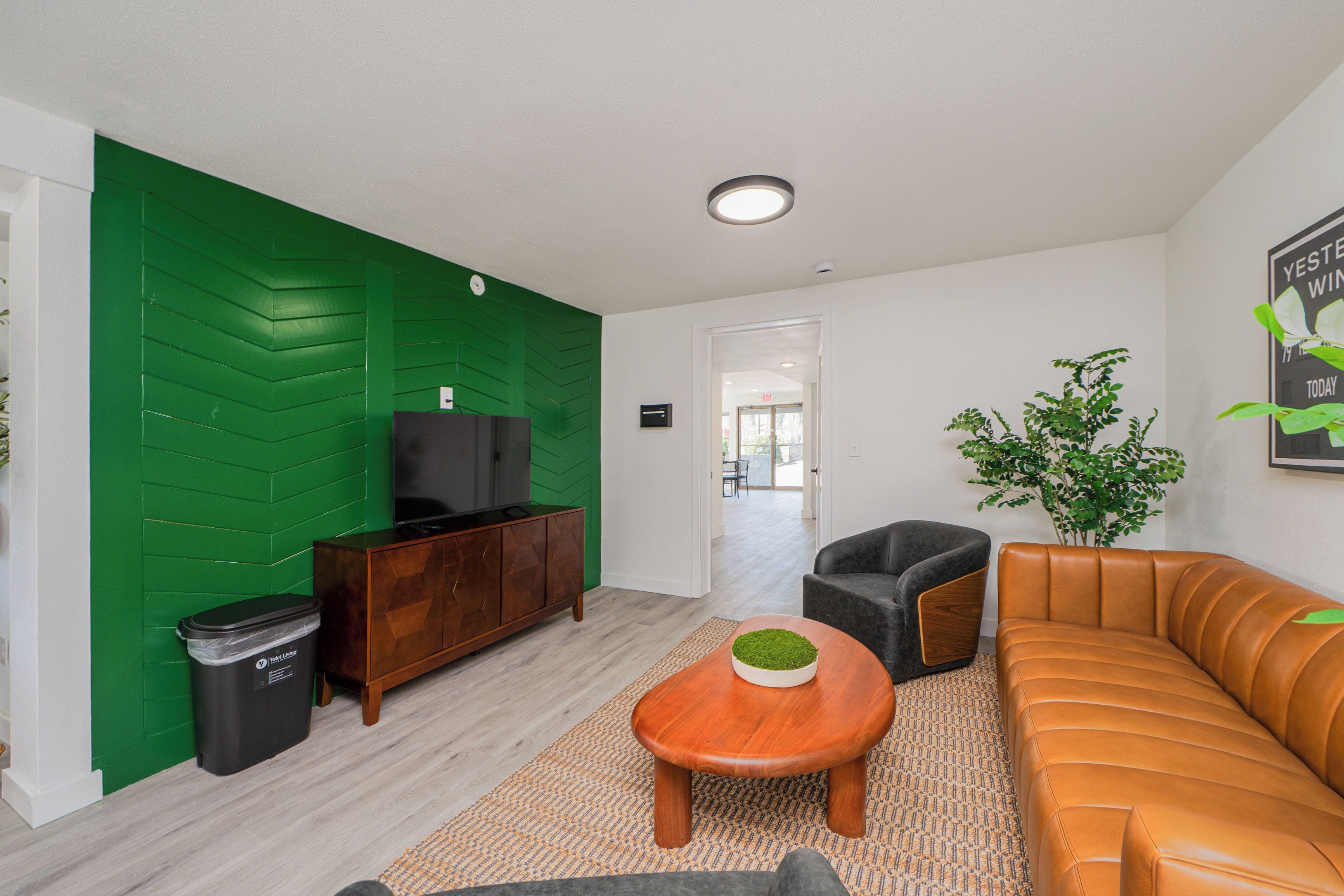 A modern living room with a green accent wall, a leather sofa, a wooden coffee table, a TV, and a trash bin.