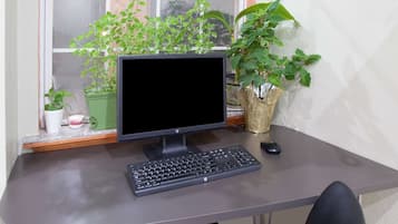 A computer desk with a monitor, keyboard, and mouse. There are potted plants on the windowsill.