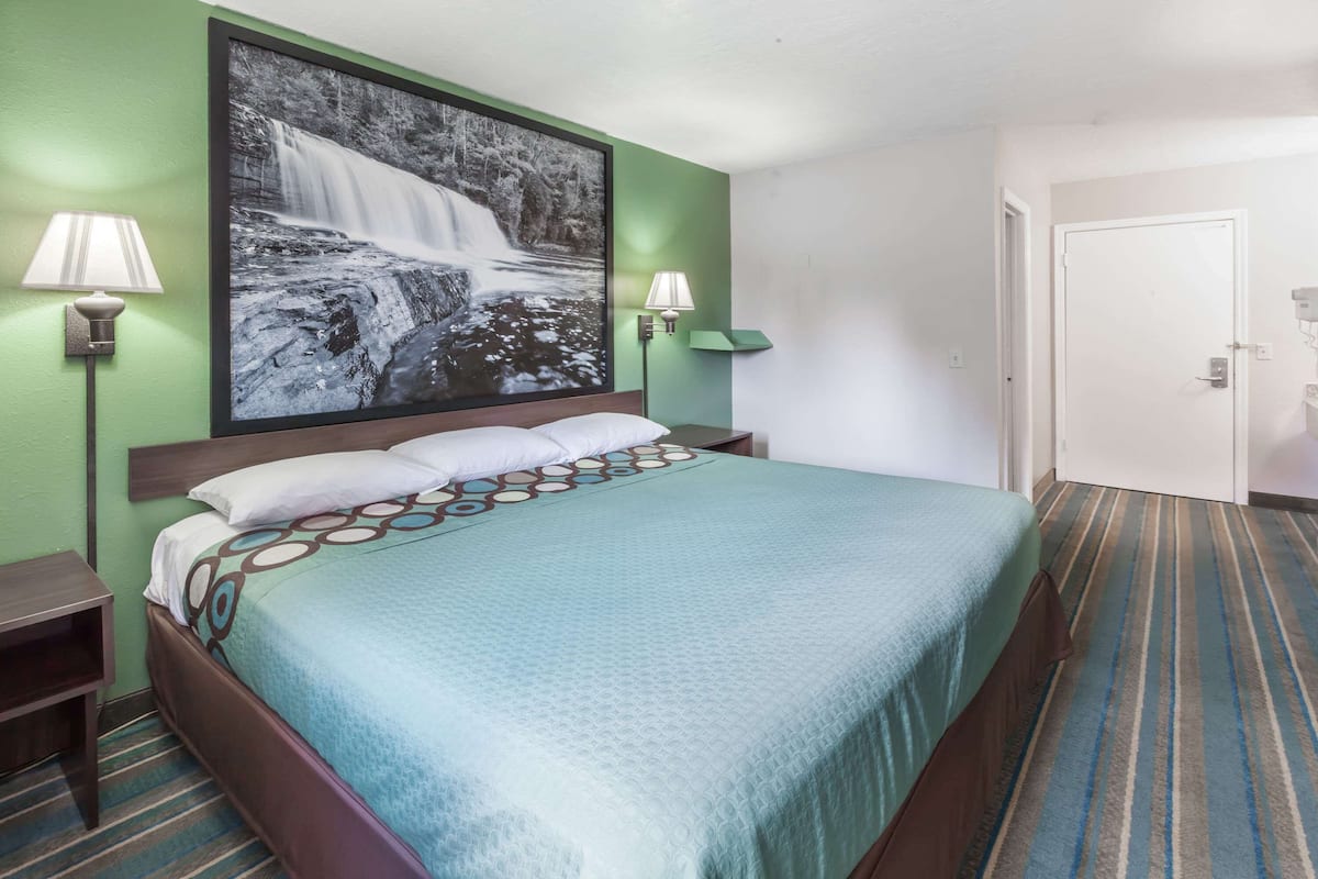 Une chambre d’hôtel avec un grand lit, deux lampes de chevet, un mur vert et une porte.