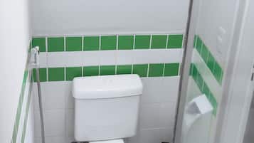 A small, clean bathroom with a white toilet, green and white tiled walls, and a glass shower enclosure.