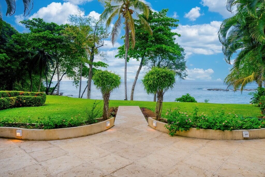 A paved pathway leading to a beach with palm trees and lush greenery.
