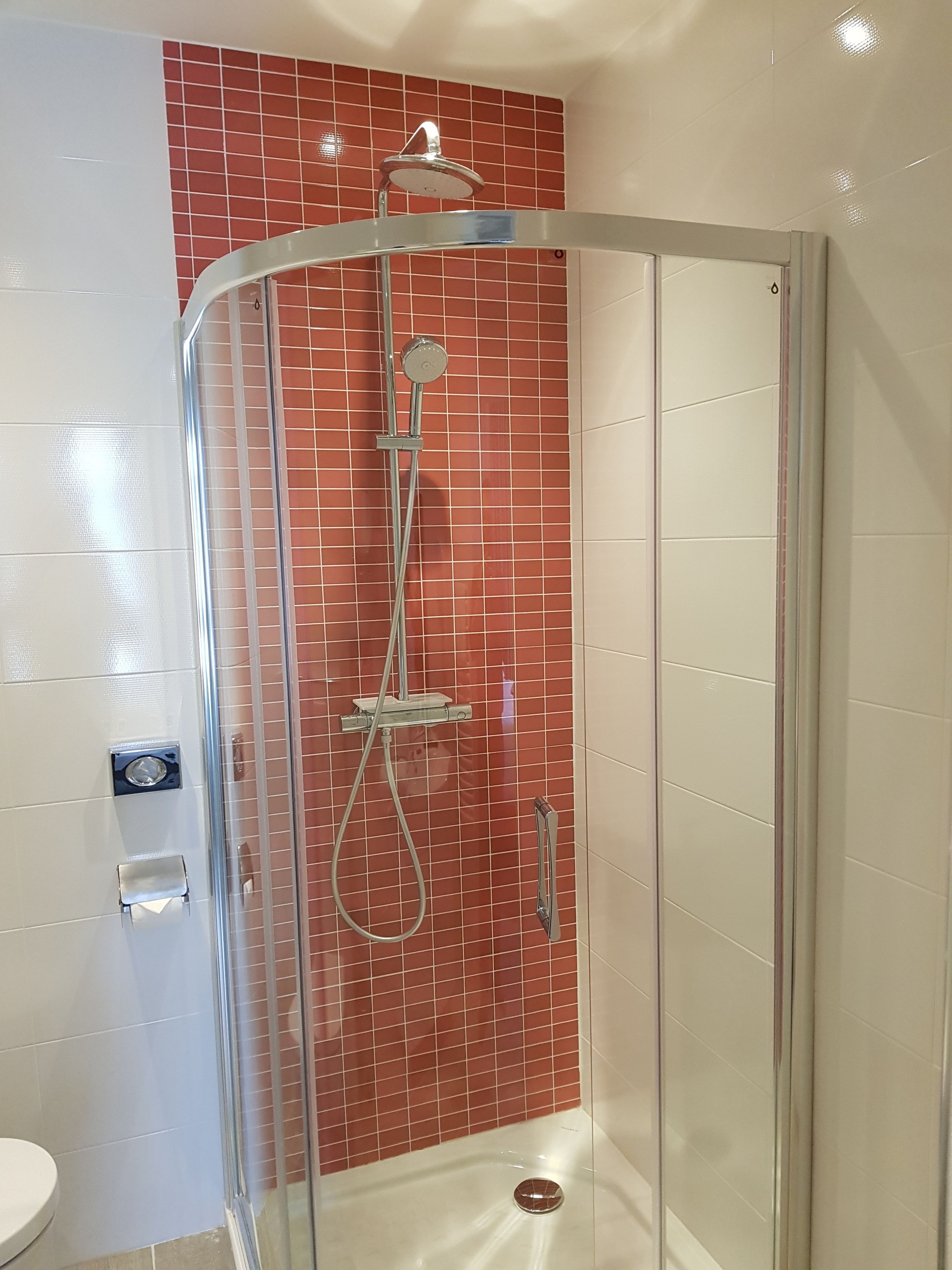 A glass-enclosed shower with a red-tiled wall, a white toilet, and a metallic handle.