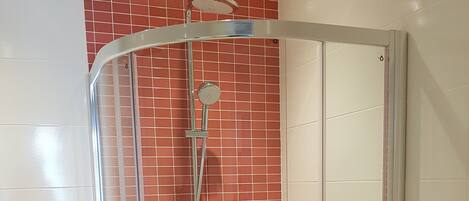 A glass-enclosed shower with a red-tiled wall, a white toilet, and a metallic handle.