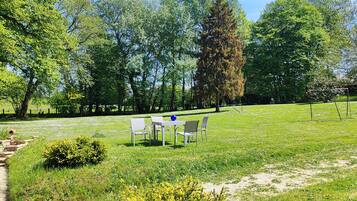 A grassy outdoor area with a table and chairs, surrounded by trees and a clear sky.