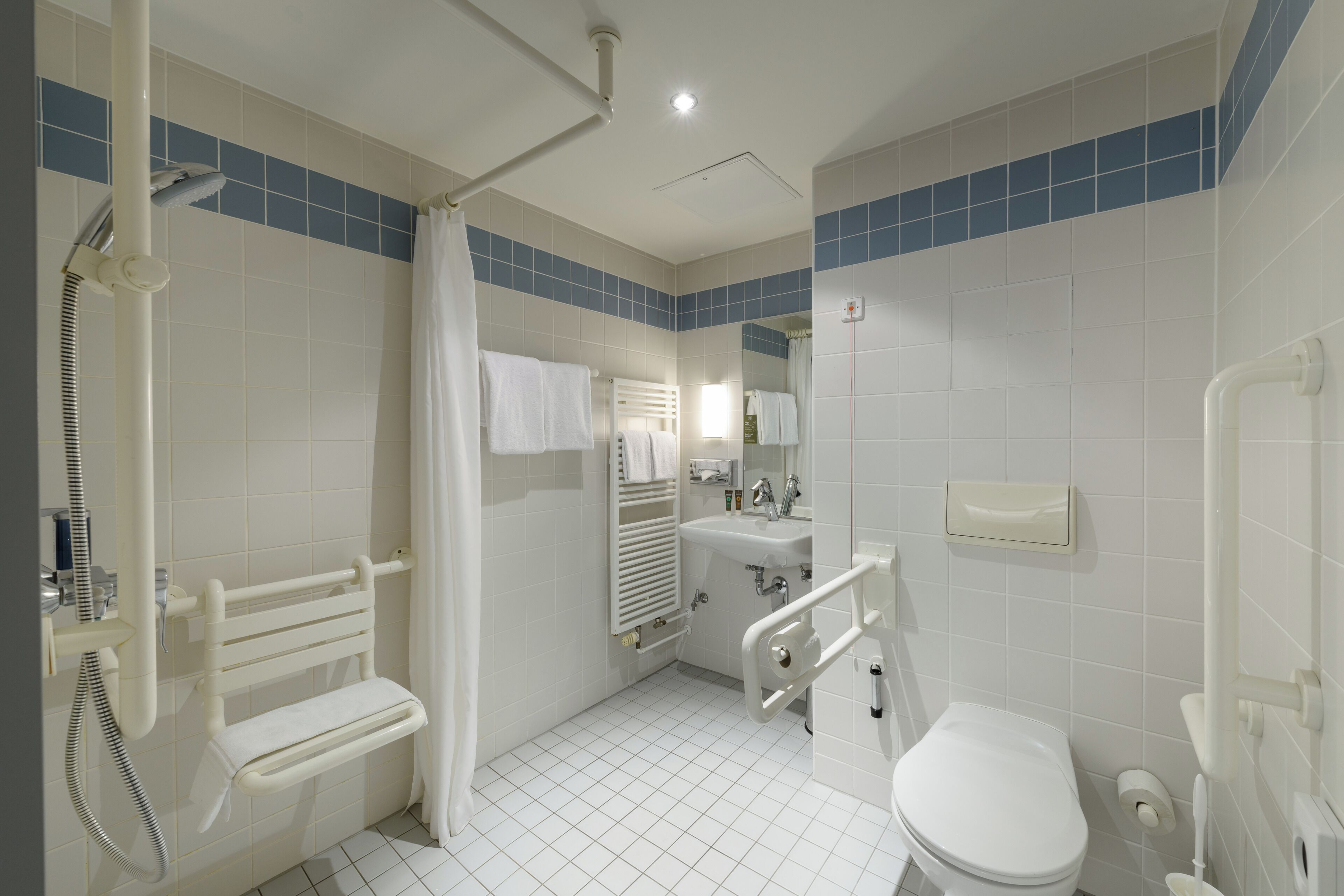 A bathroom with a shower, toilet, and sink, equipped with grab bars and a handrail.