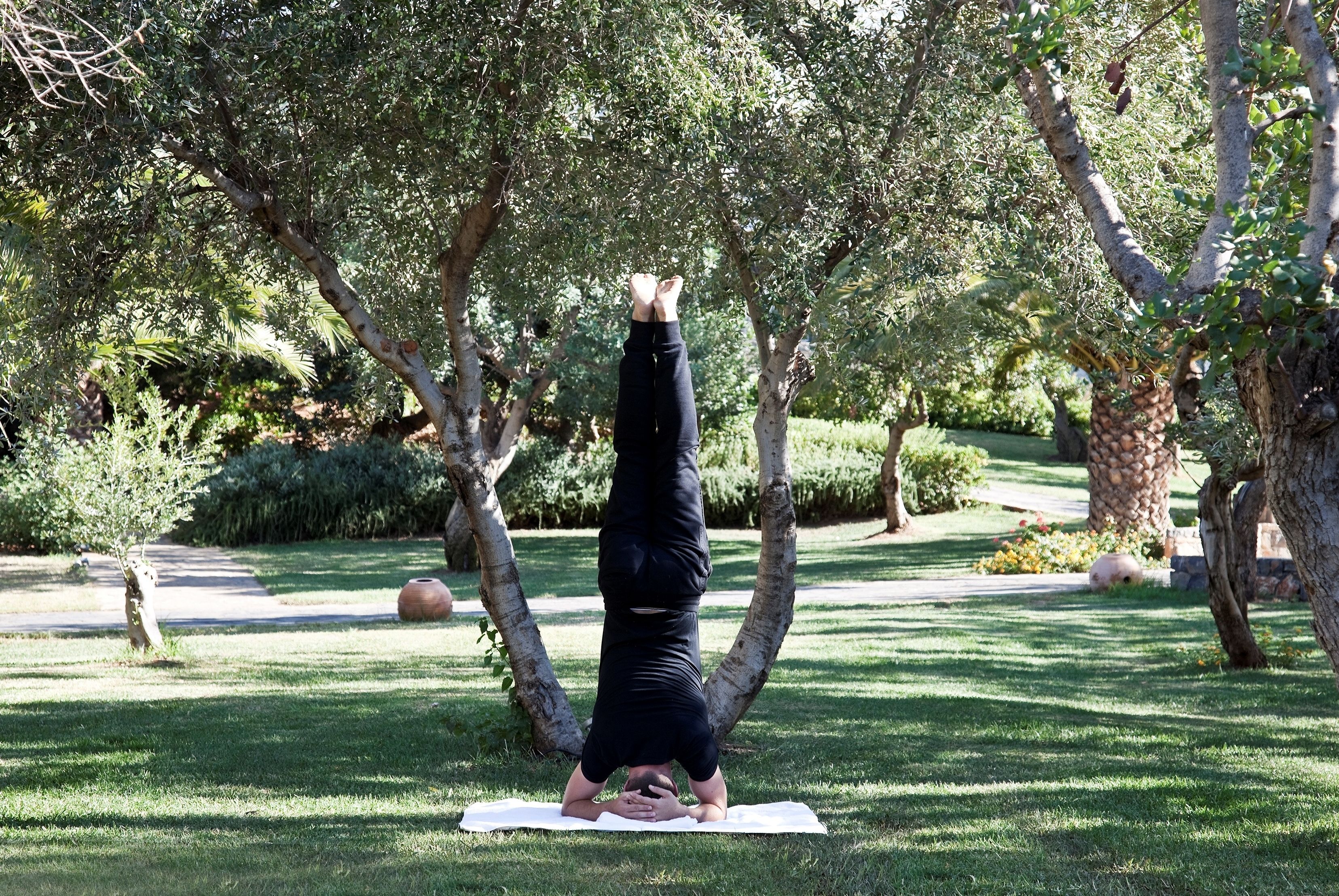 Una persona realizando una postura de yoga sobre una esterilla en un parque con árboles y césped.