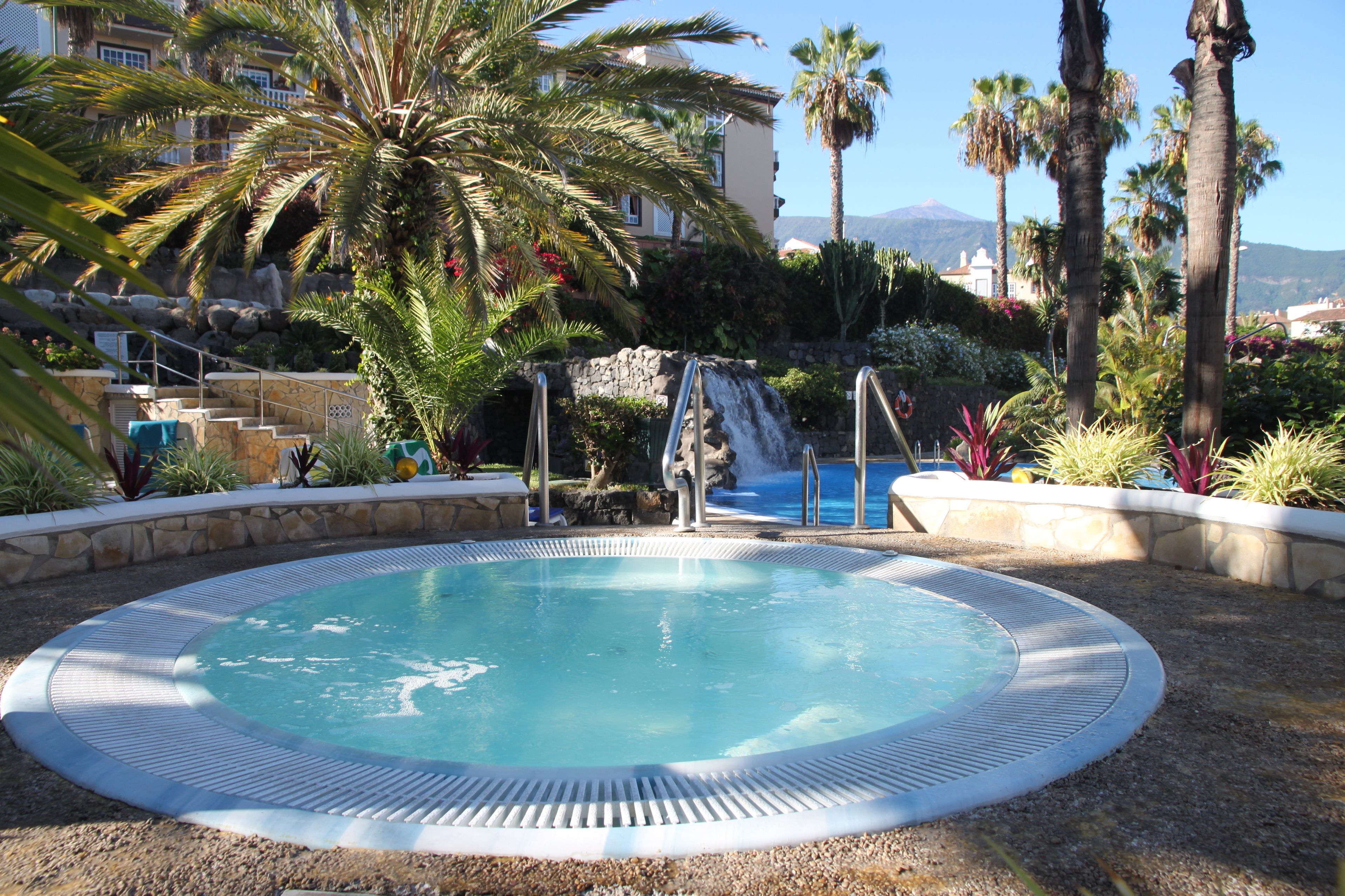 A pool with a waterfall, surrounded by palm trees and a stone wall.