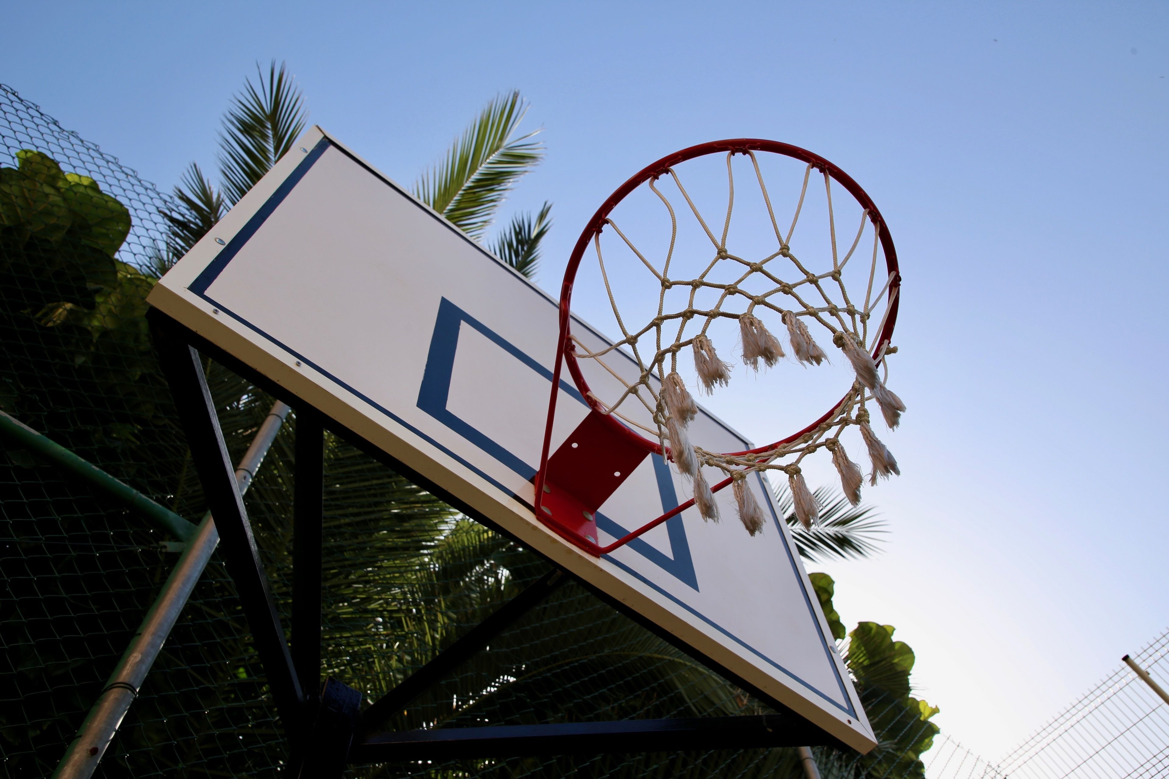 basketball court