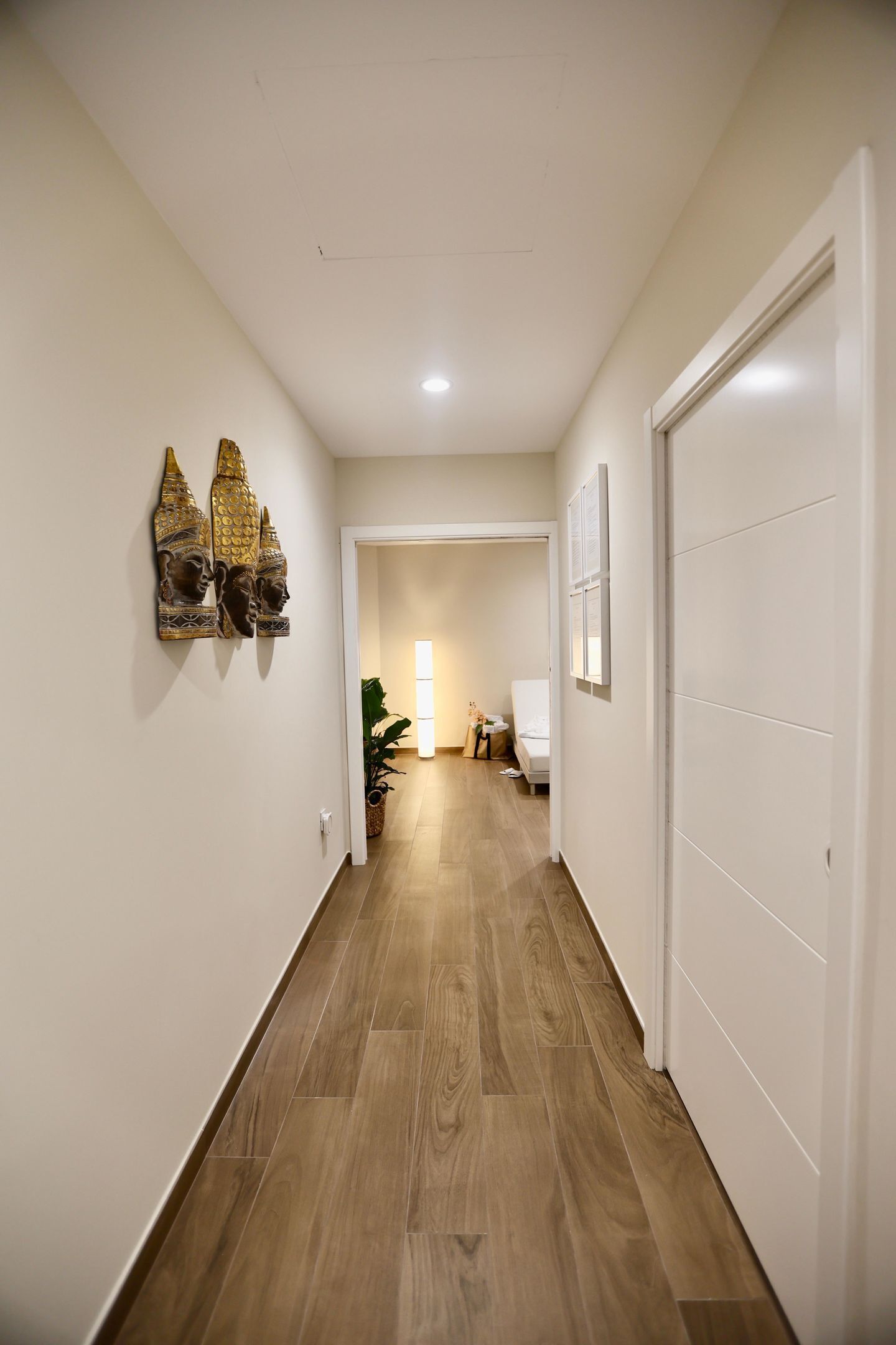 A hallway with wooden flooring, a white door, and a framed picture on the wall.