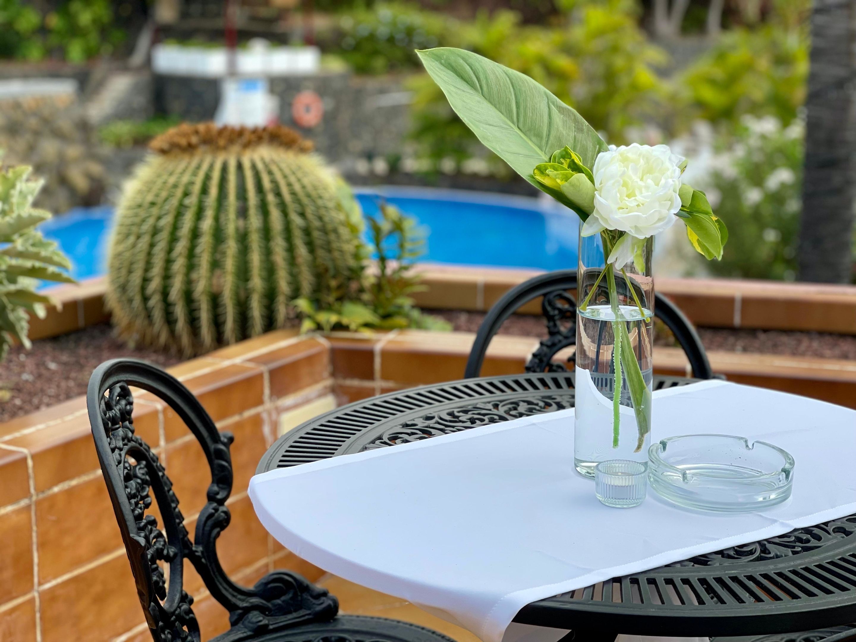 A table with a vase of flowers and a glass, set against a backdrop of a cactus and a pool.