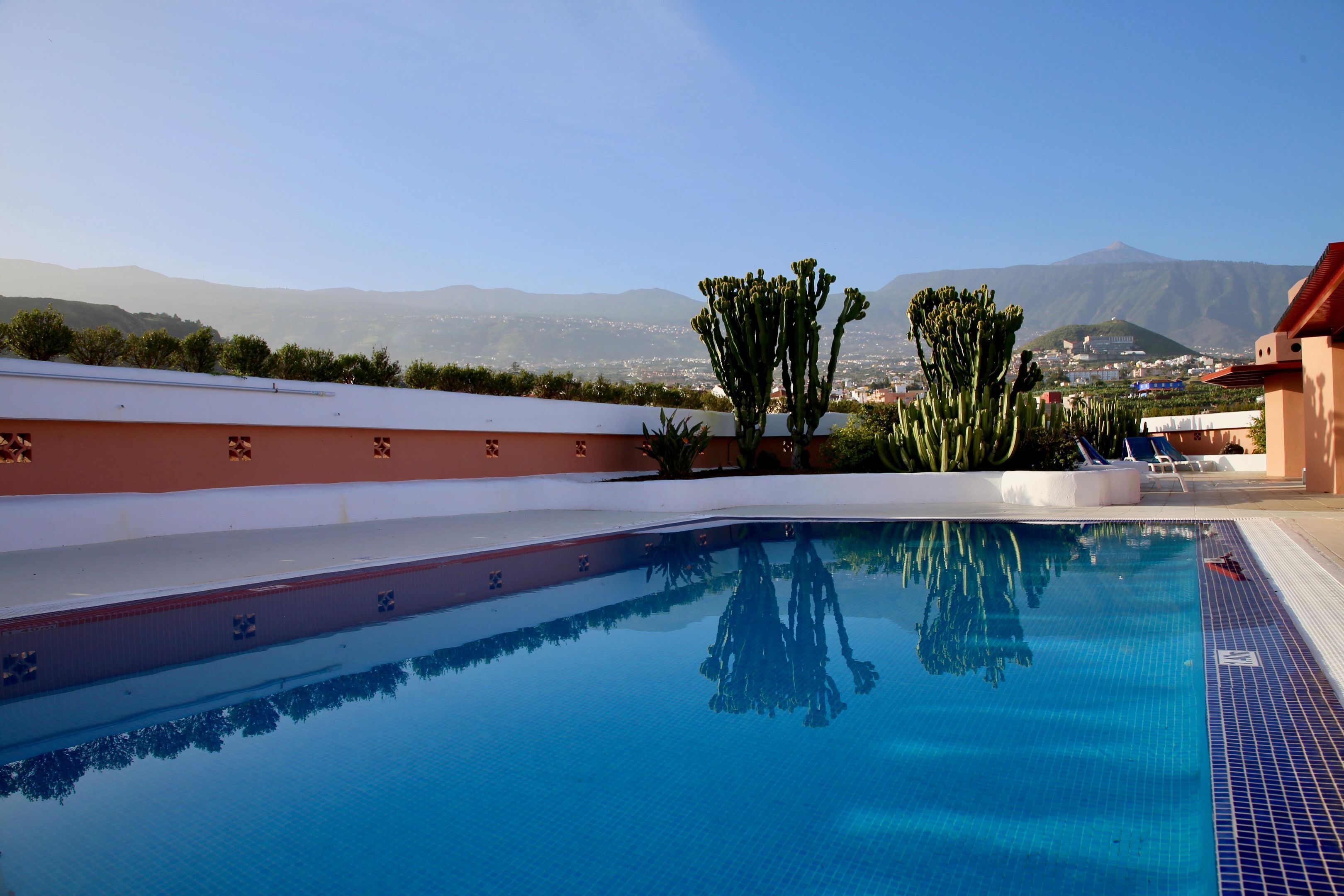 A swimming pool with clear blue water, surrounded by a low wall and a cactus plant.