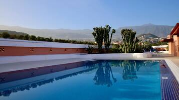 A swimming pool with clear blue water, surrounded by a low wall and a cactus plant.