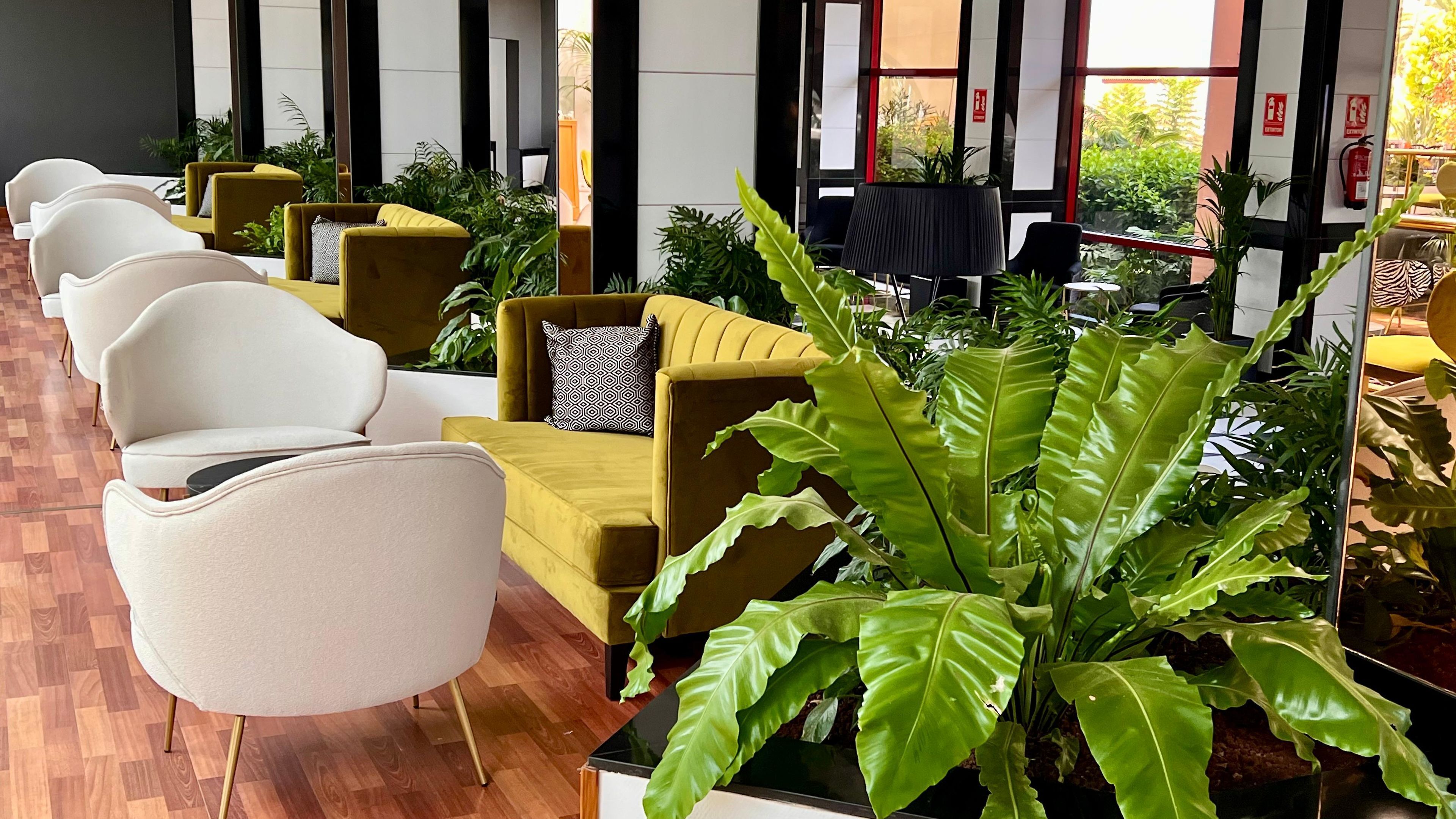 Un espacio interior moderno con asientos variados en blanco y color mostaza, plantas verdes grandes y una mesa negra.