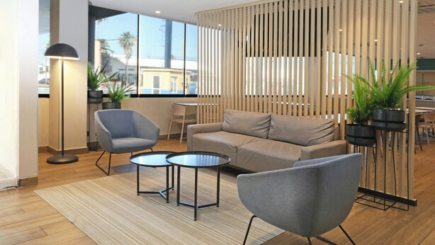 Een moderne zithoek met een bank, twee fauteuils, een salontafel, een vloerlamp en potplanten.
