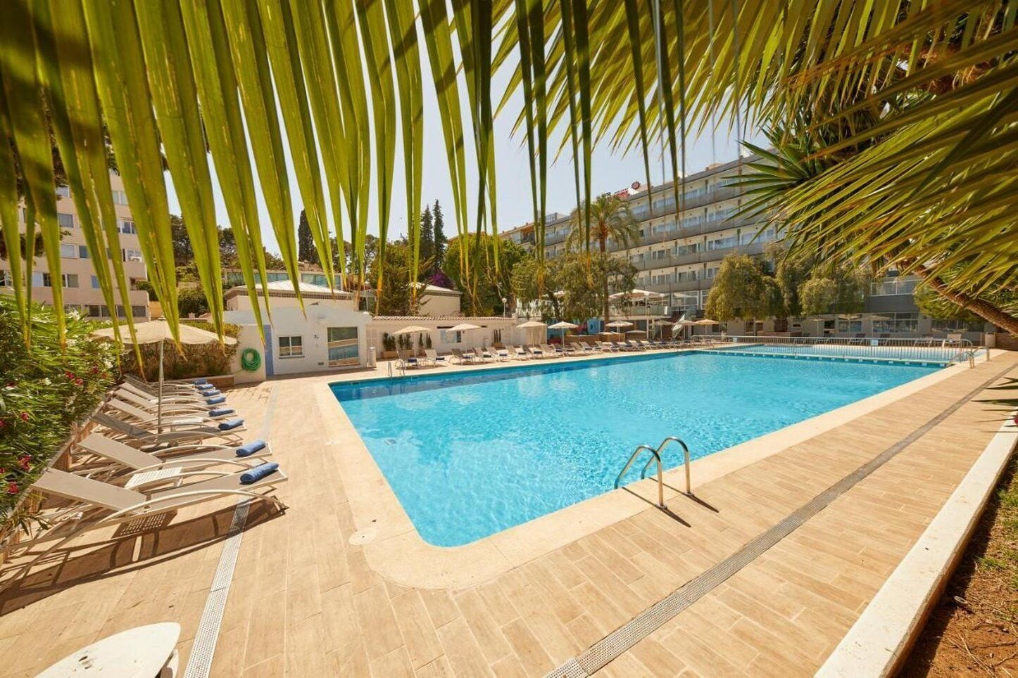 A swimming pool with lounge chairs and umbrellas, surrounded by palm trees and buildings.
