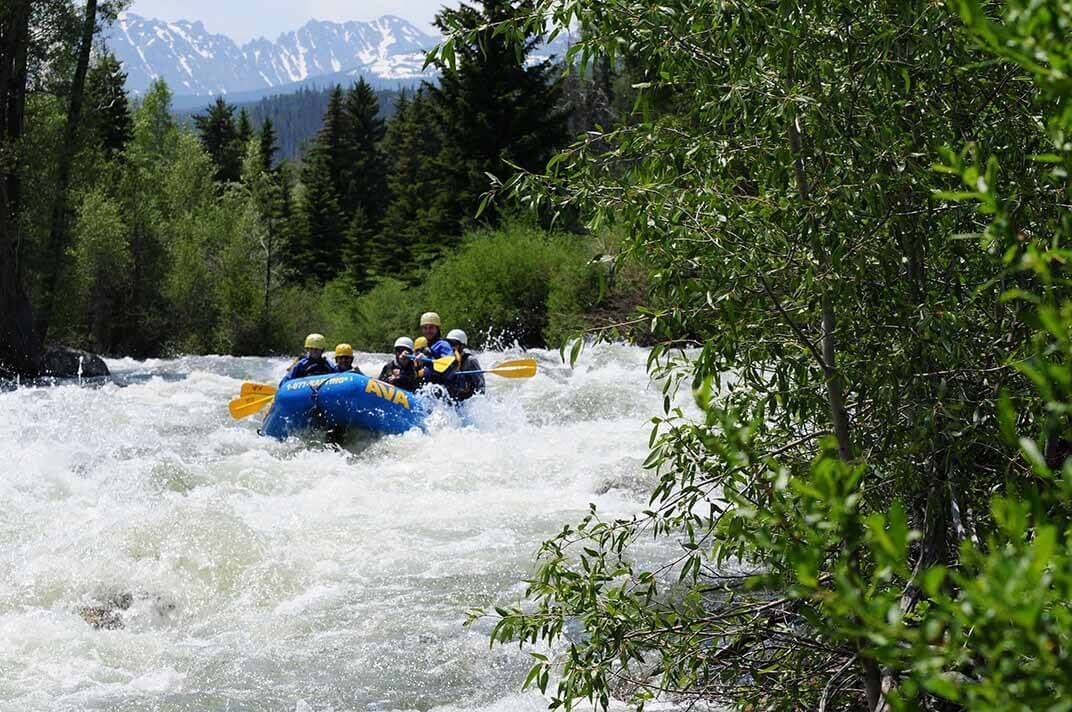 A group of people rafting on a river surrounded by trees and mountains.