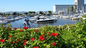 A marina with boats docked, a castle-like building in the background, and lush greenery in the foreground.