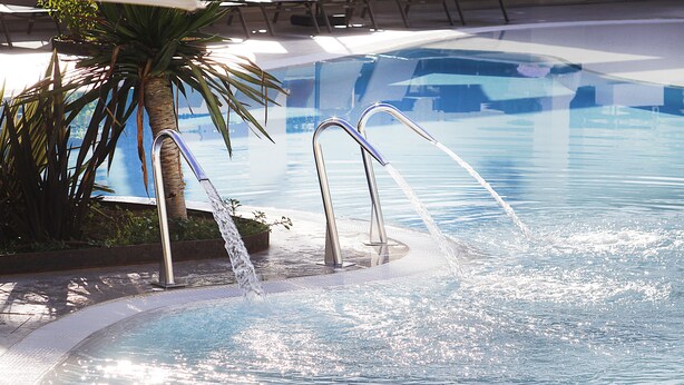 Une piscine avec un palmier et des échelles métalliques.