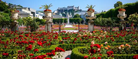 A garden with red flowers, a fountain, and a castle in the background.