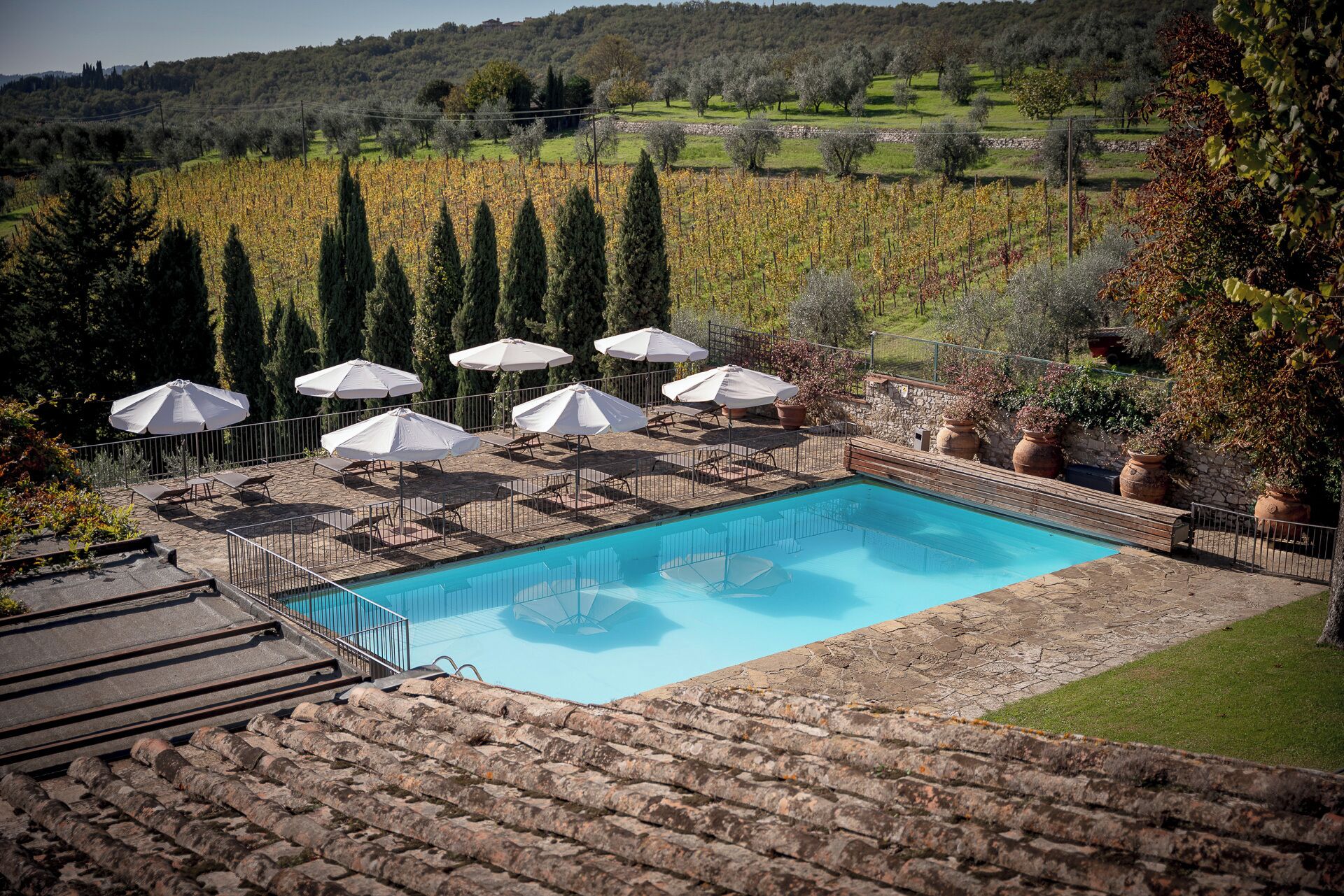 Une piscine entourée d’une terrasse en pierre, agrémentée de chaises longues et de parasols, et offrant une vue sur les vignobles.